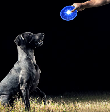 Frisbee Lumineux pour Chien – Jouez sans limites, même la nuit