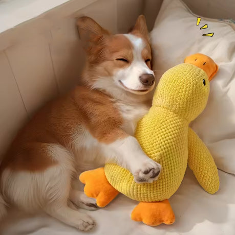 Peluche Canard – Un compagnon de jeu irrésistible et réconfortant